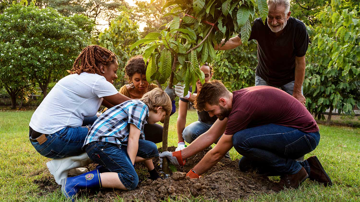 A group of people plant a tree