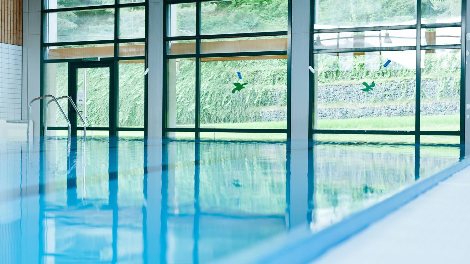 A swimming pool with its enclosure