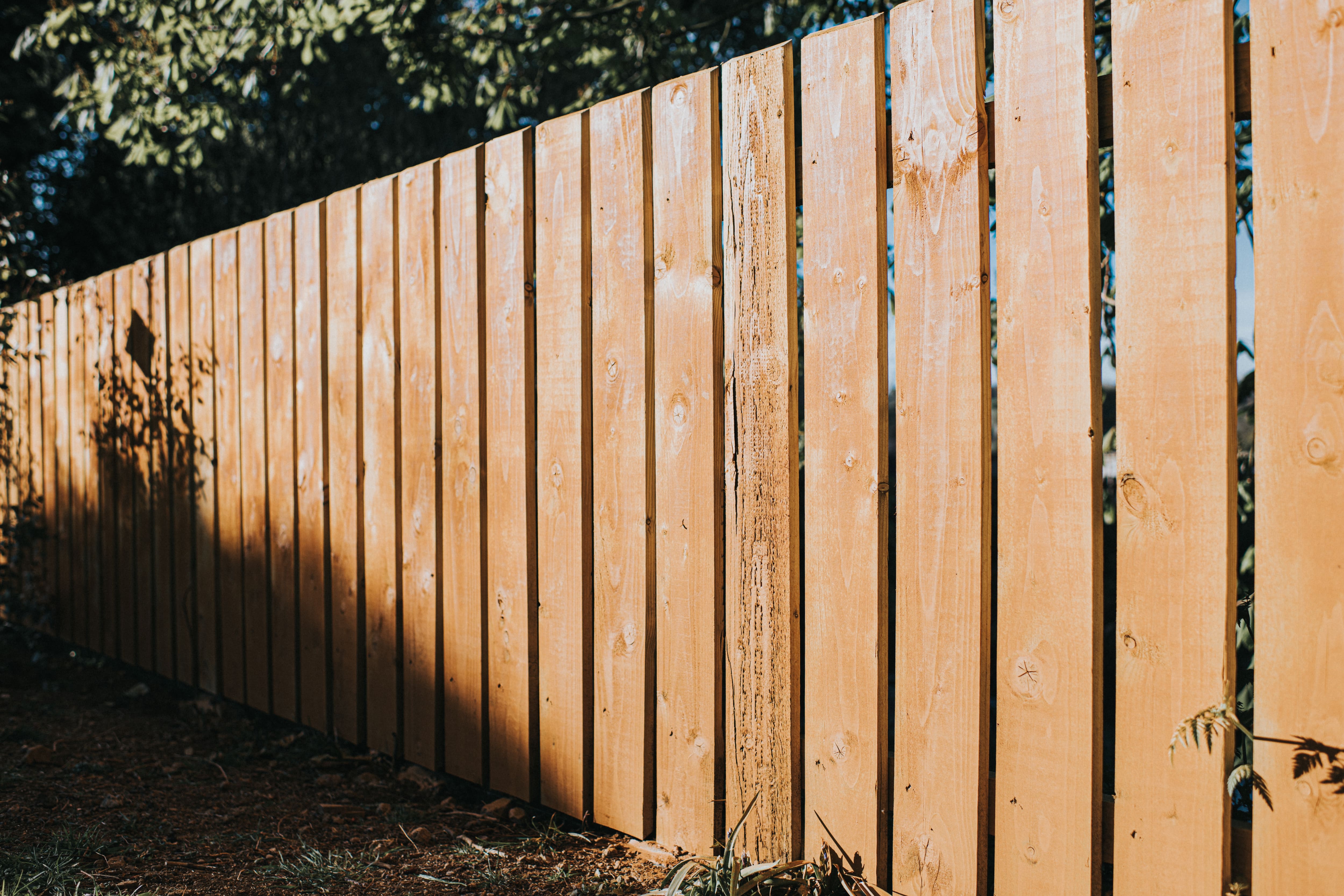 A closeup image of a vertical batten fence