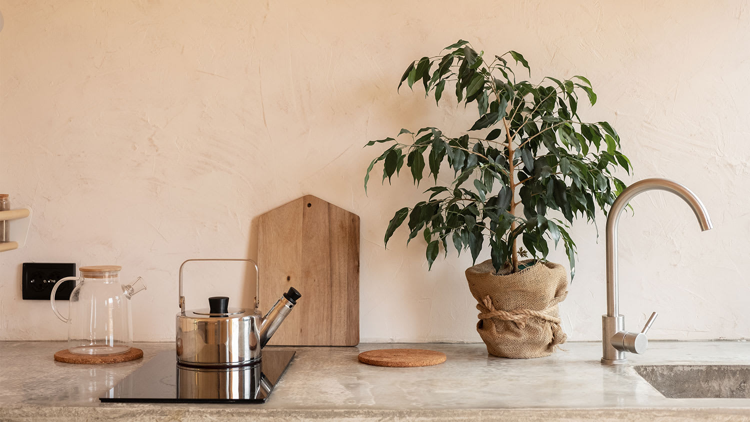 beige plastered wall kitchen plants and kitchenware