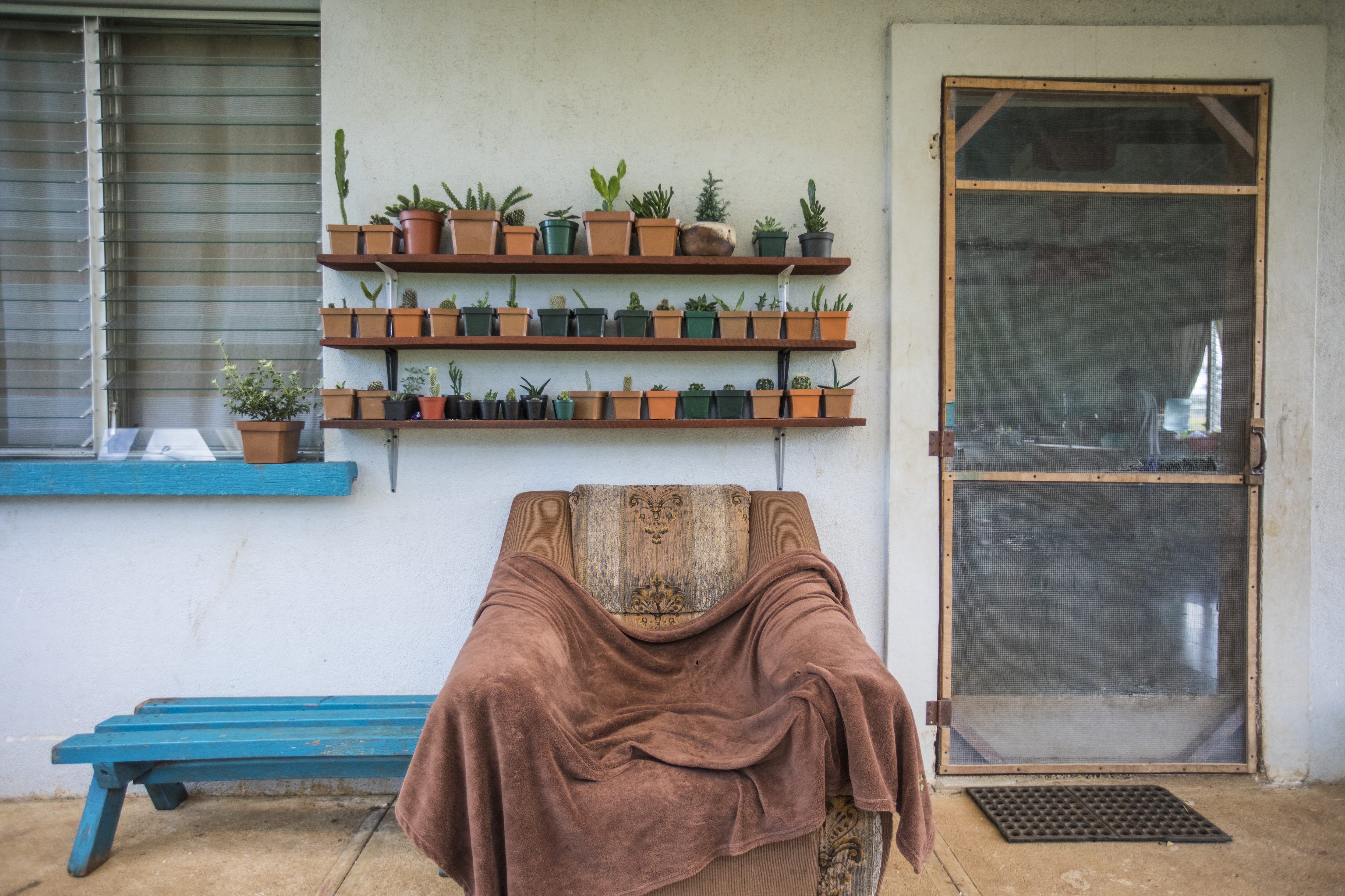 Open-shelving on front porch with variety of potted plants and succulents