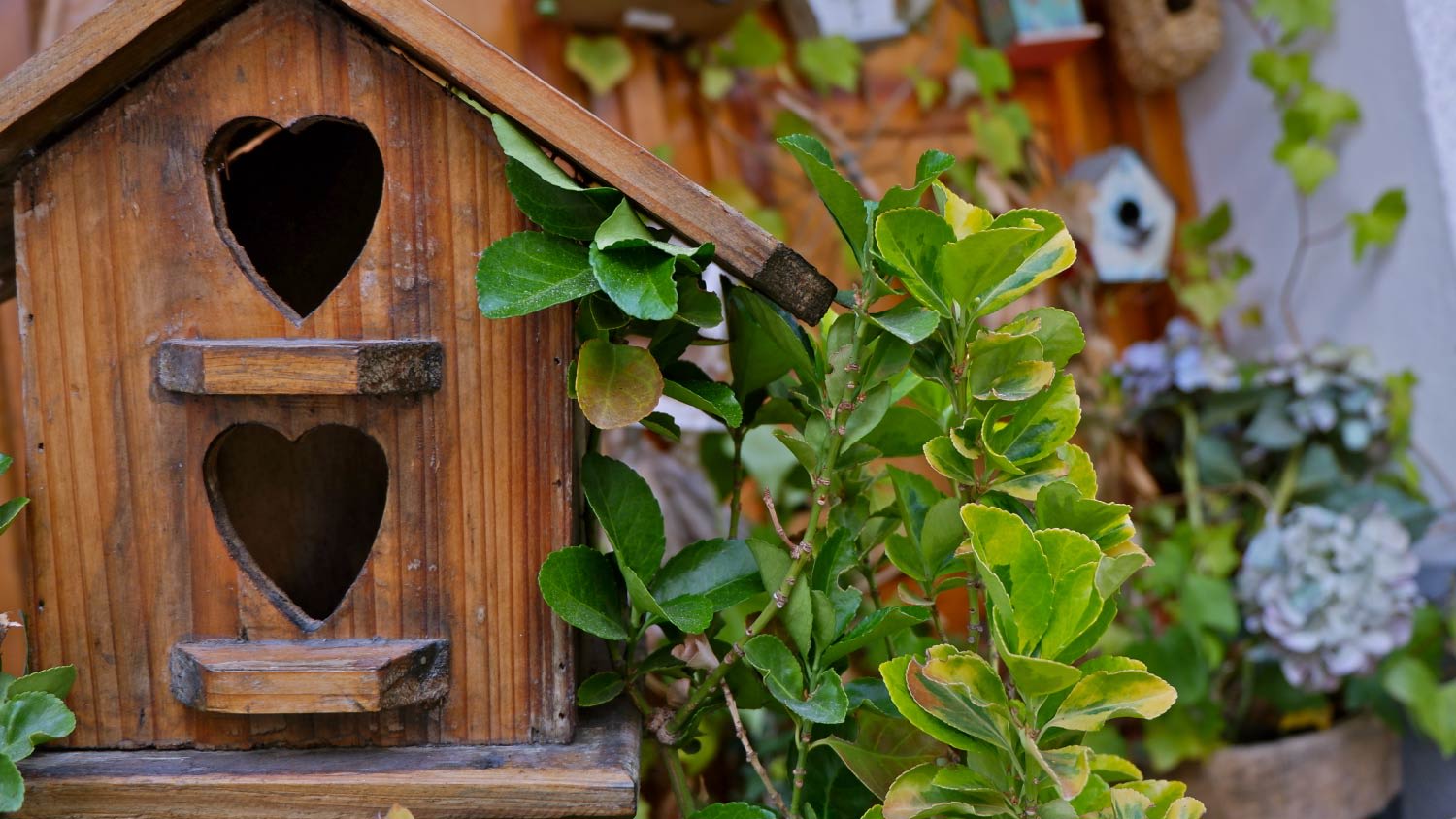 wooden birdhouse with heart entrance