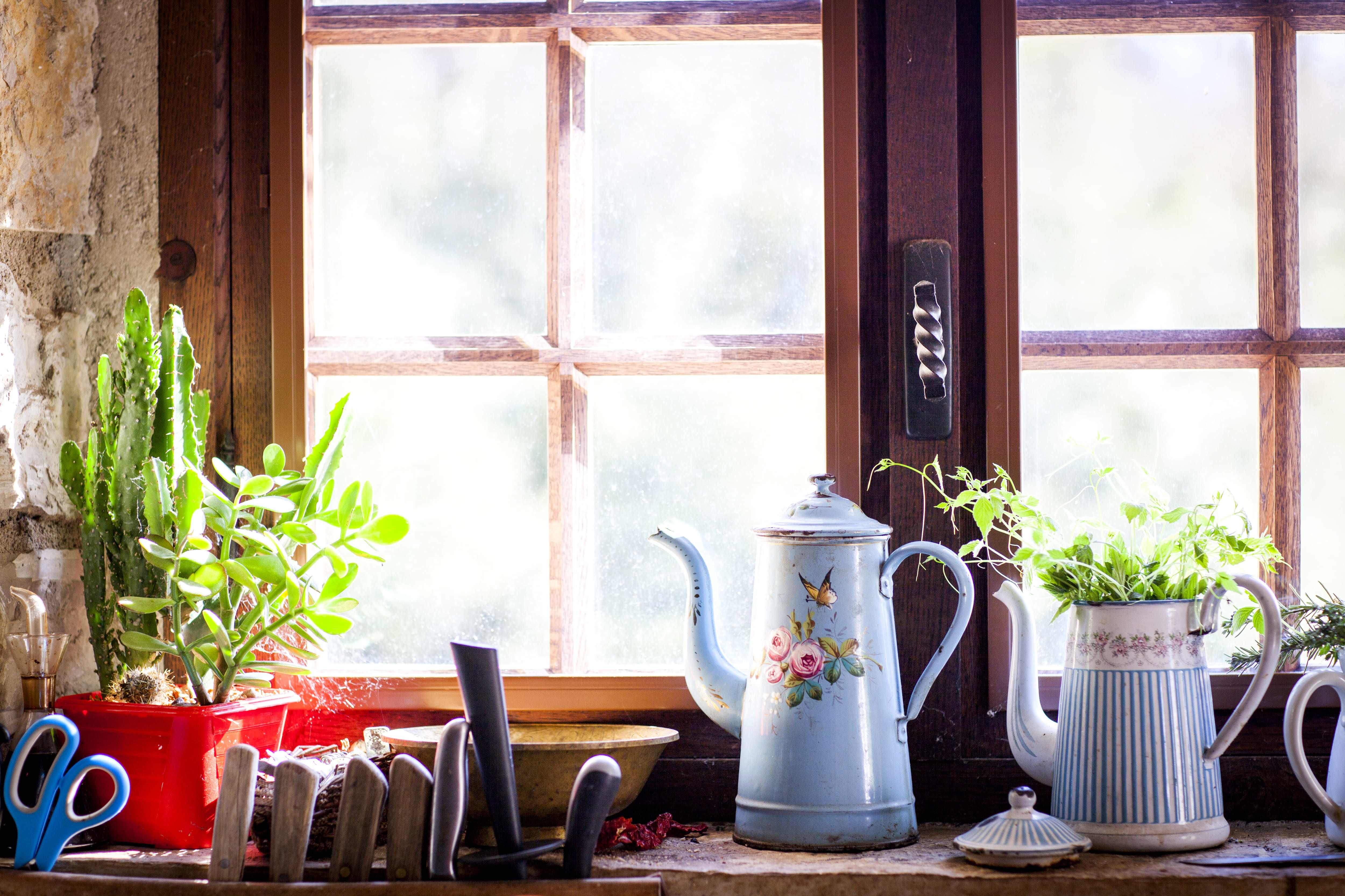 A rustic kitchen window sill with plants and a watering can