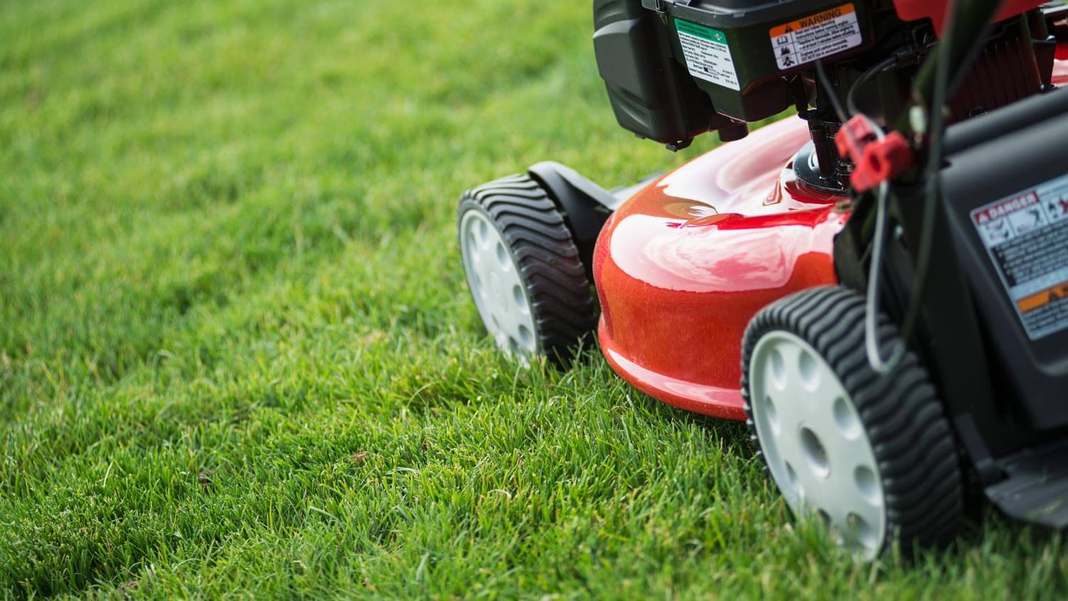 Close-up of a lawn mower