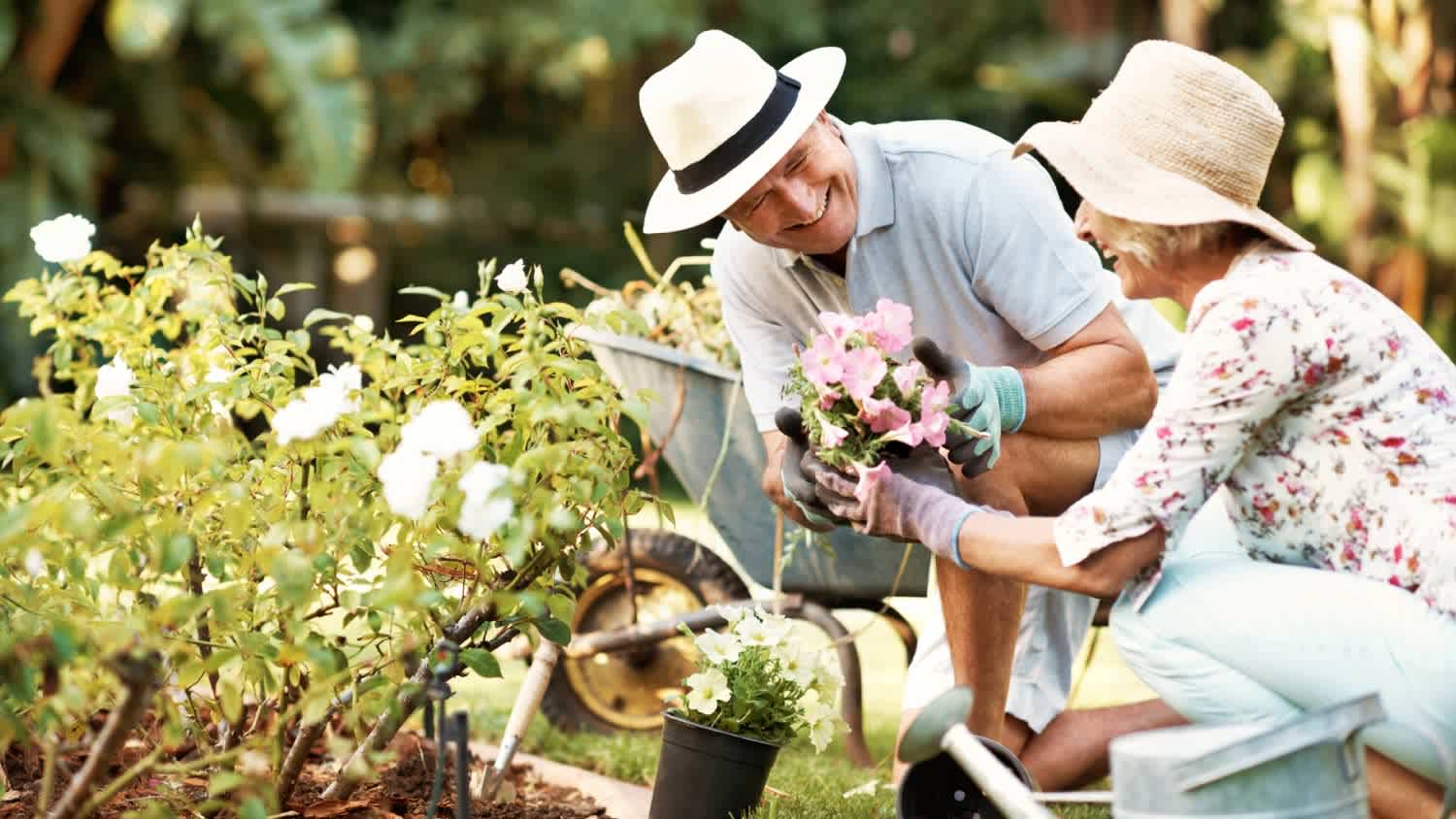 A couple gardening in their yard