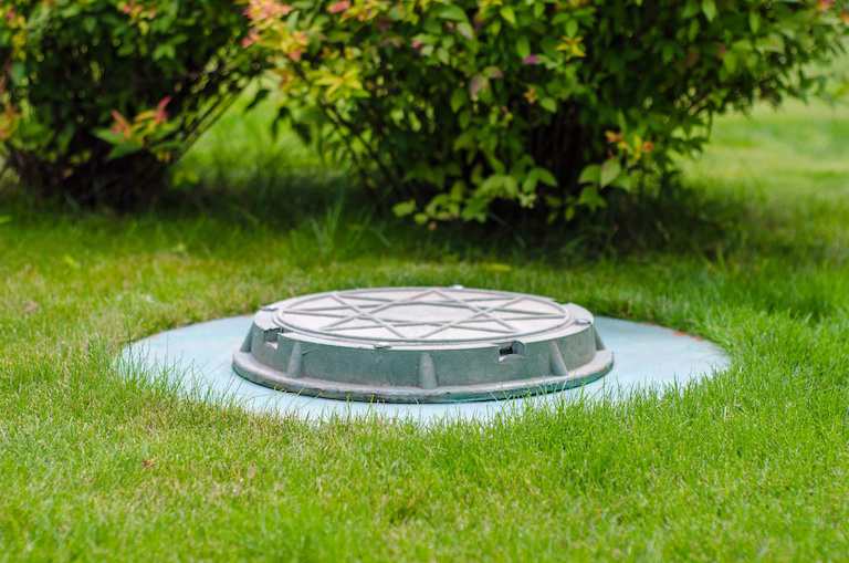 sewer line covering among green grass and leaves
