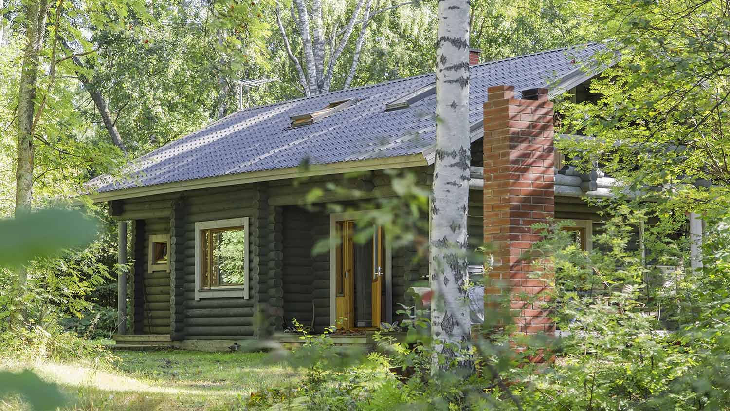 Dark grey log house with skylights in the woods