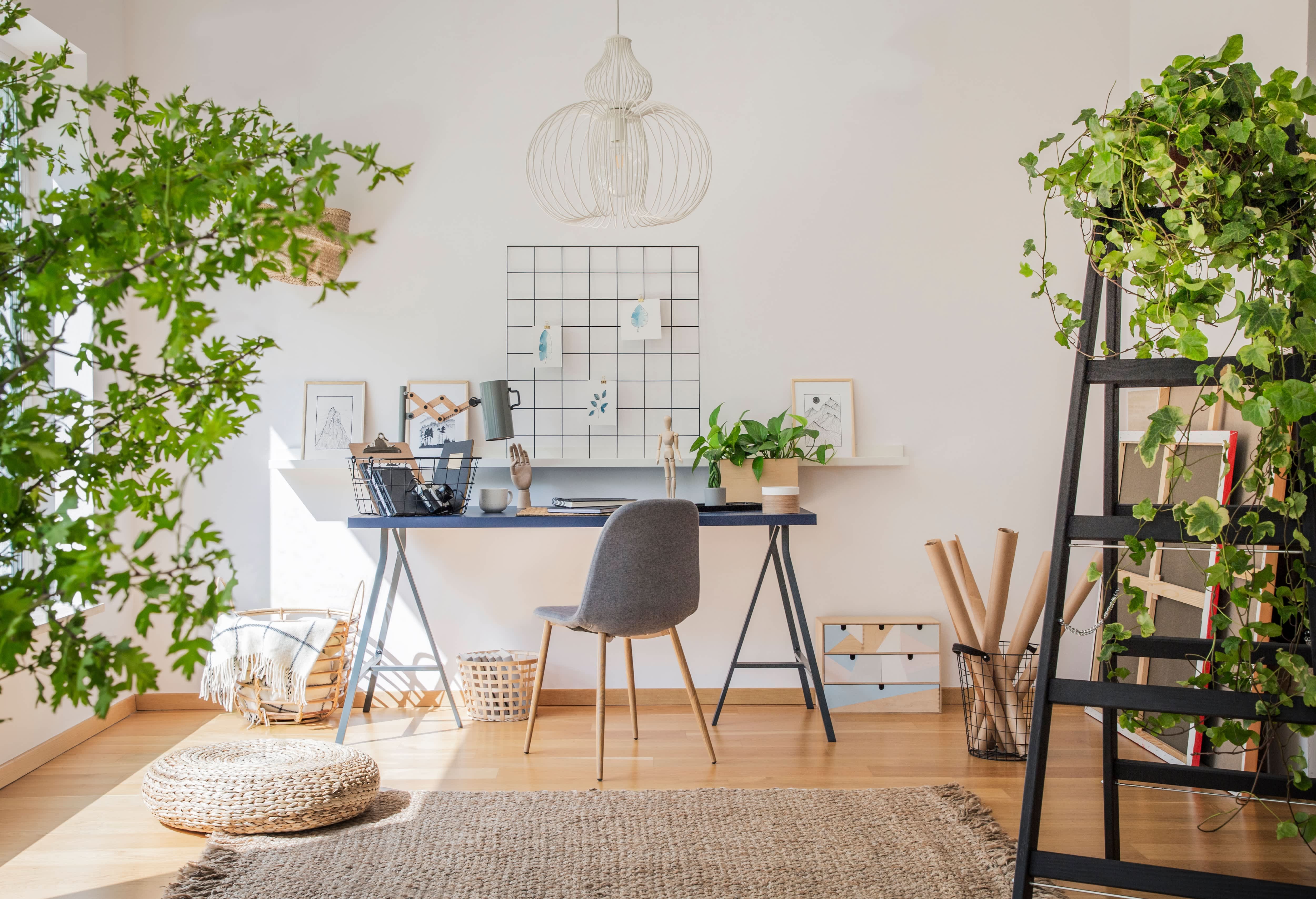 Bright, sunny craft room with desk, drafting paper, plants, and sketches