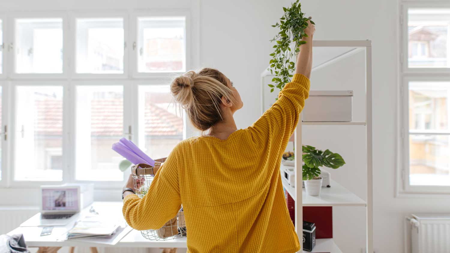 woman arranging plant