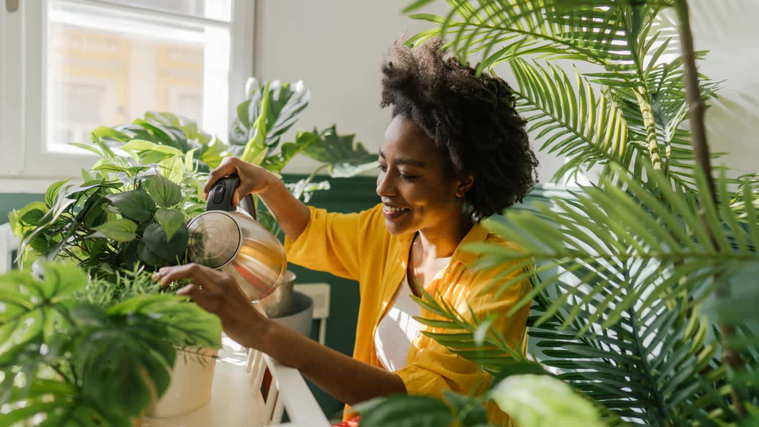 A woman watering plants in a sunlit room