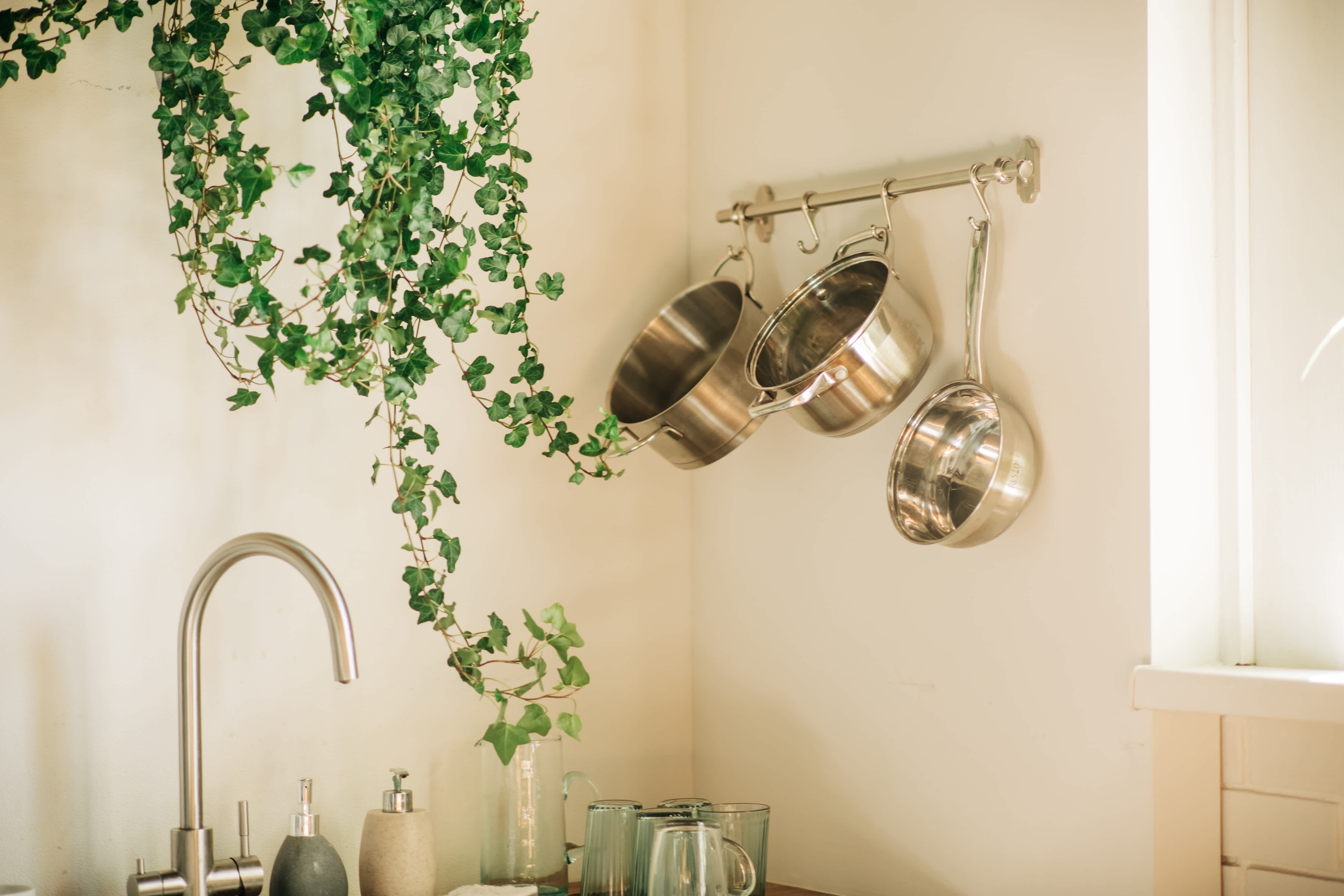 A kitchen rack with silver pots and pans and a plant