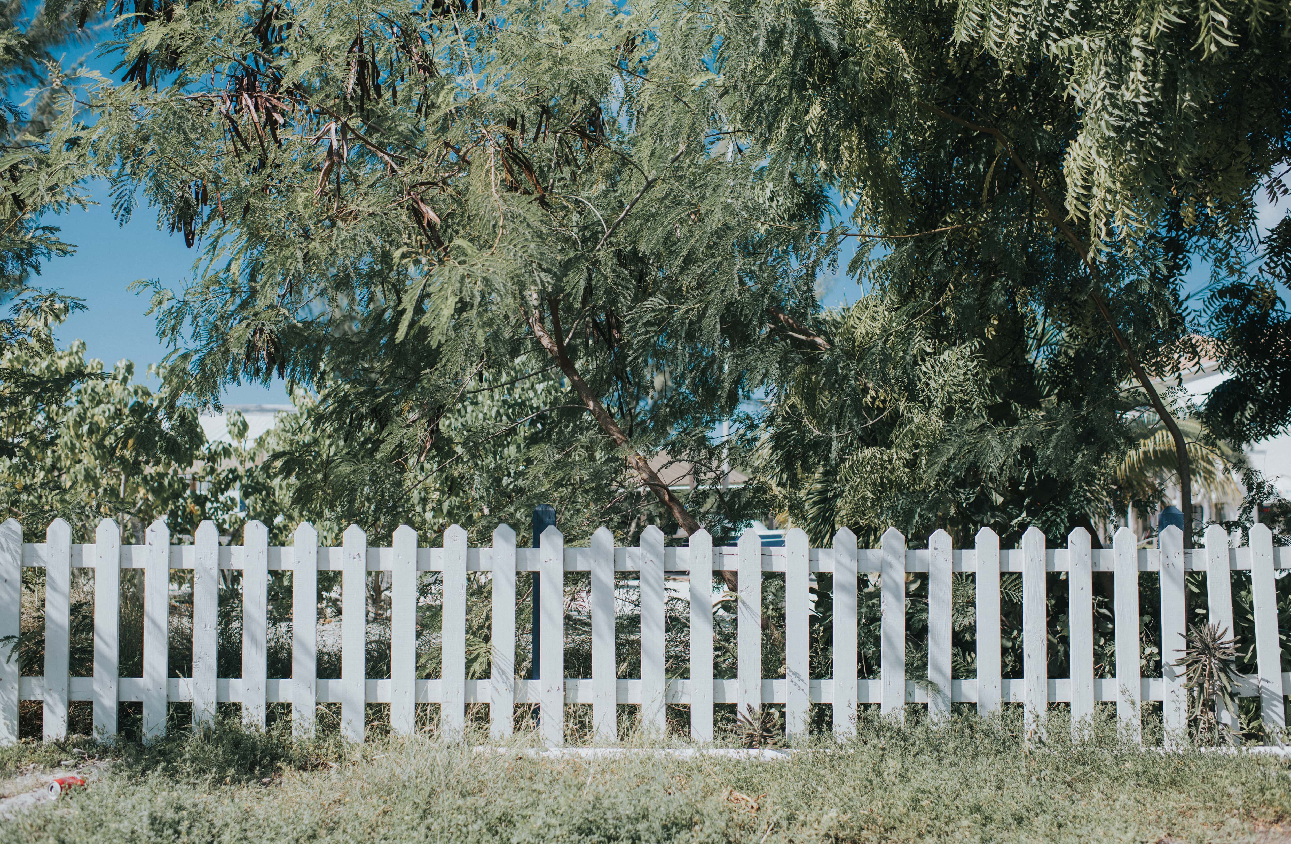 White picket fence in front yard