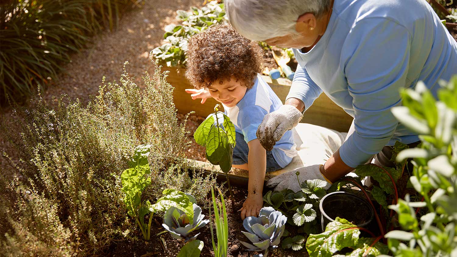 A grandmother and grandchild work in a garden