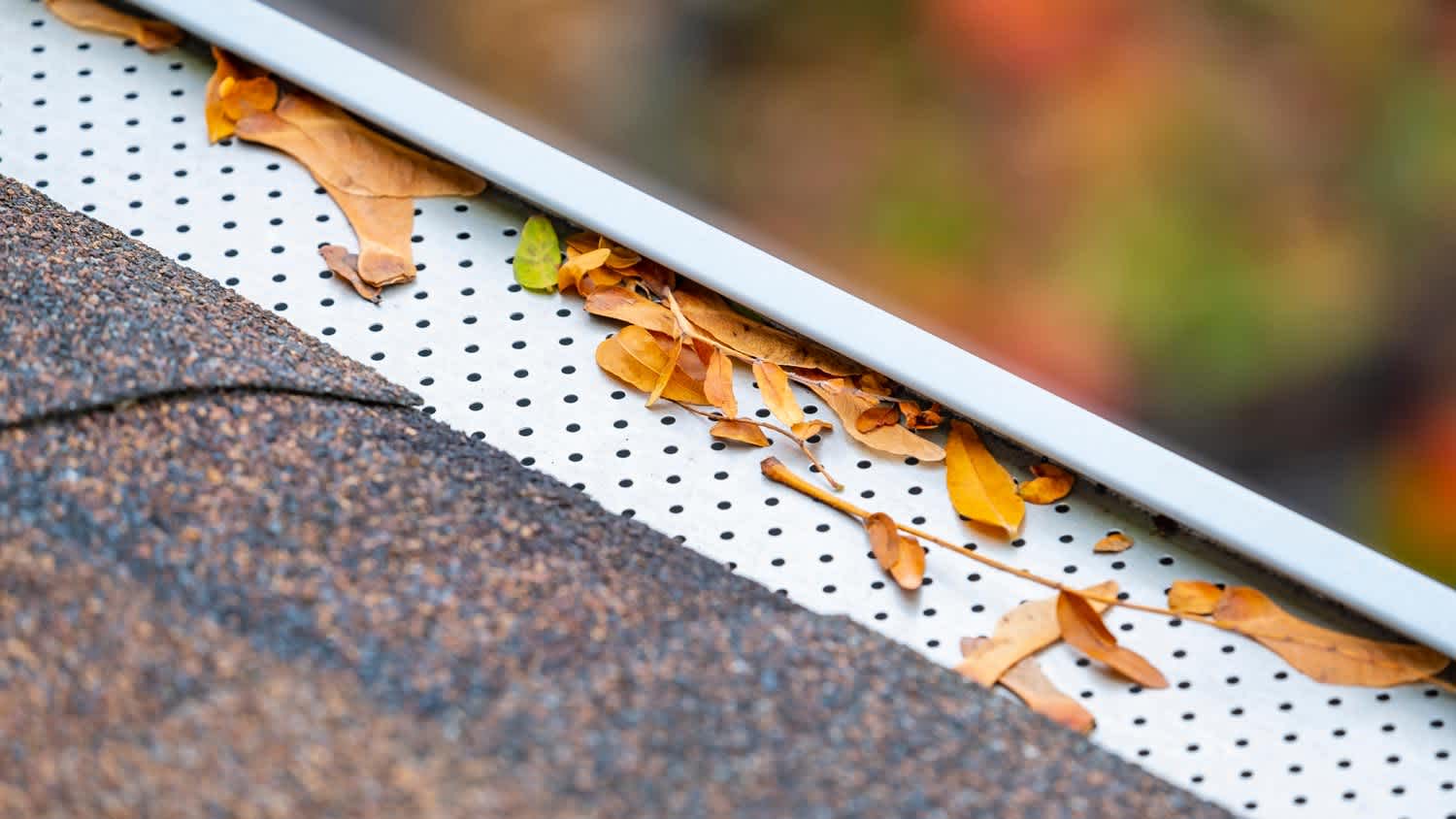 Gutter guard on roof gutters