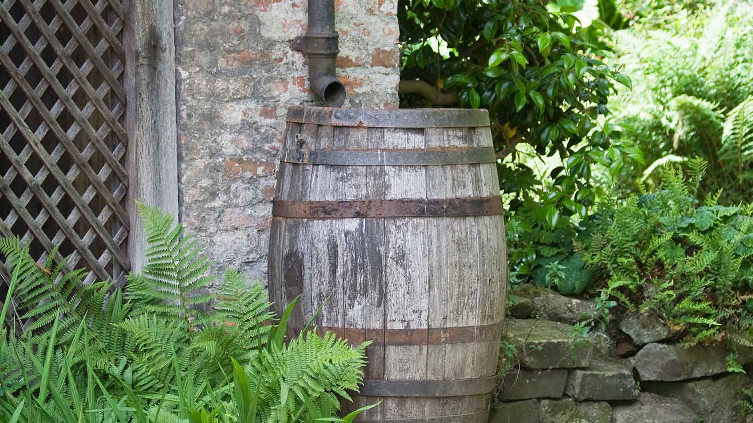 Wooden barrel standing in the garden to save water
