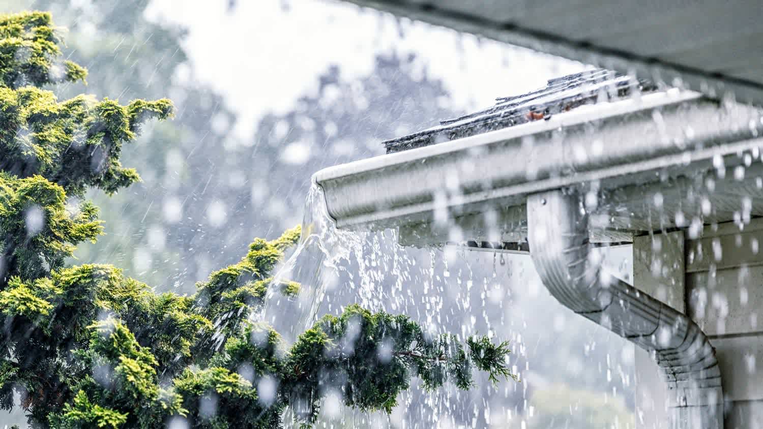 Summer rain overflowing roof gutters