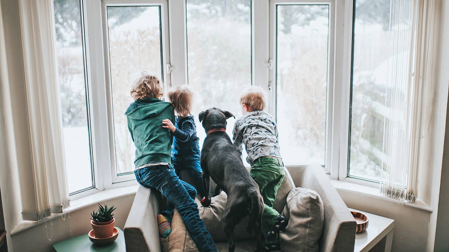 Three kids and a dog looking out a large window