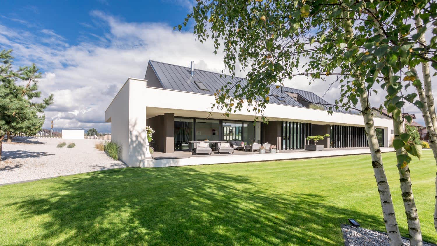 A house’s backyard with birch trees