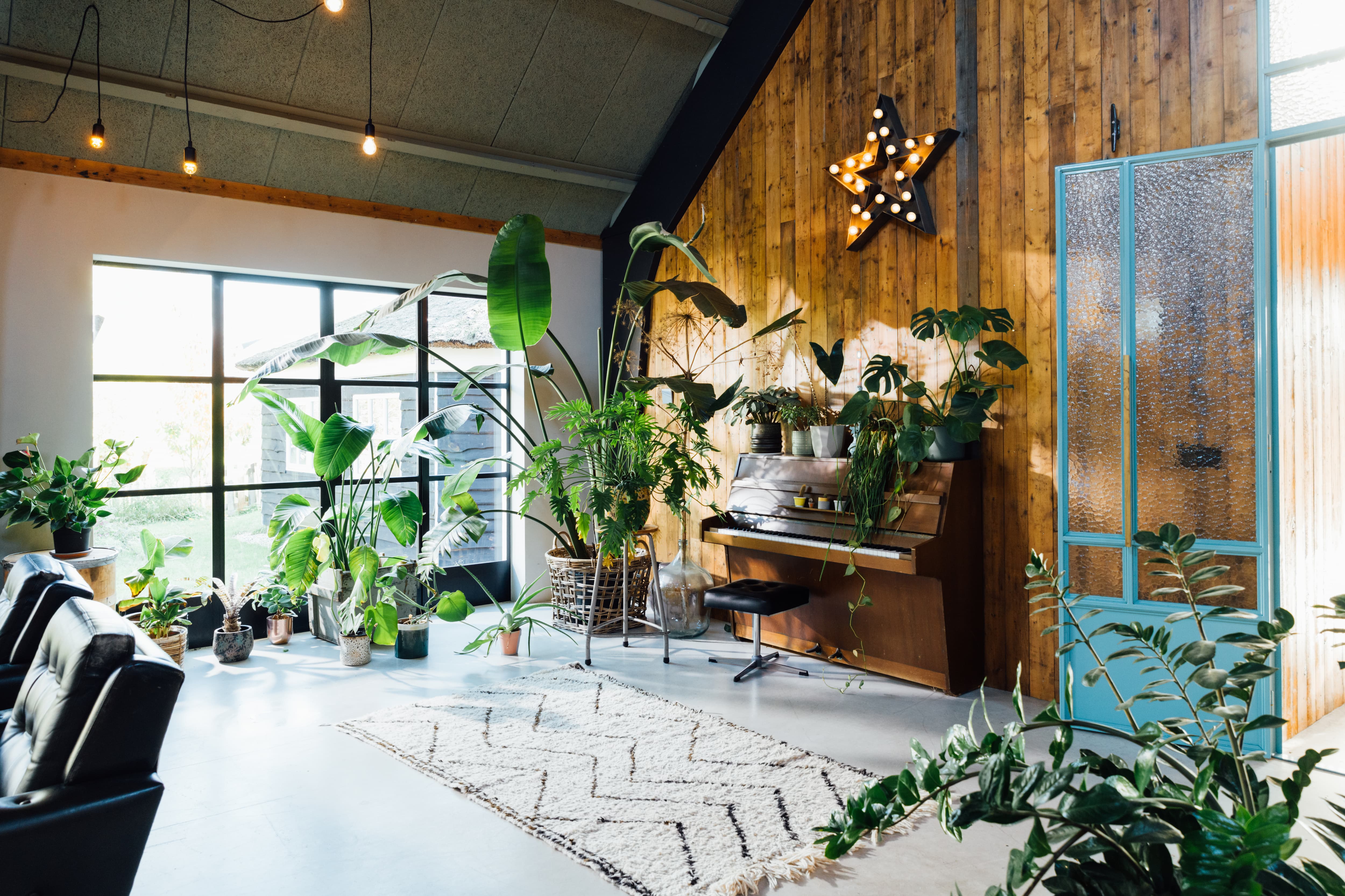 Midcentury modern scandivian interior with barn wood walls, plants, and a piano.