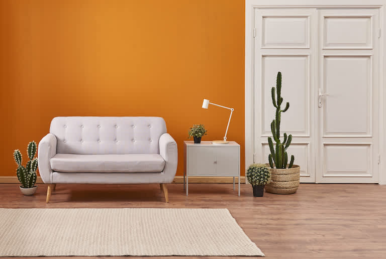 interior home with orange wall, white couch and rug, and three cactus plants