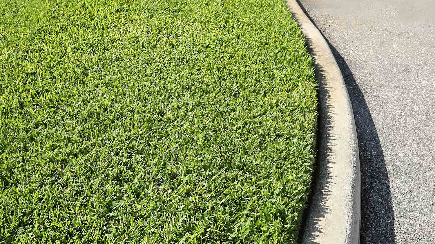 Fresh grass curb