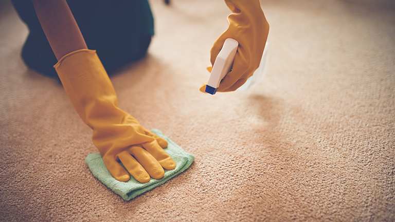 Spraying stain on carpet