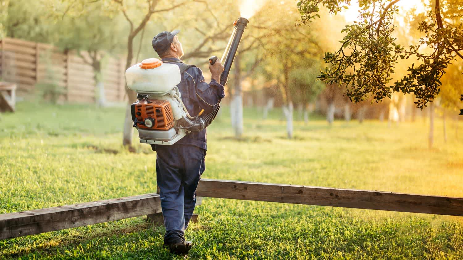 A worker using a sprayer for mosquitoes in a yard