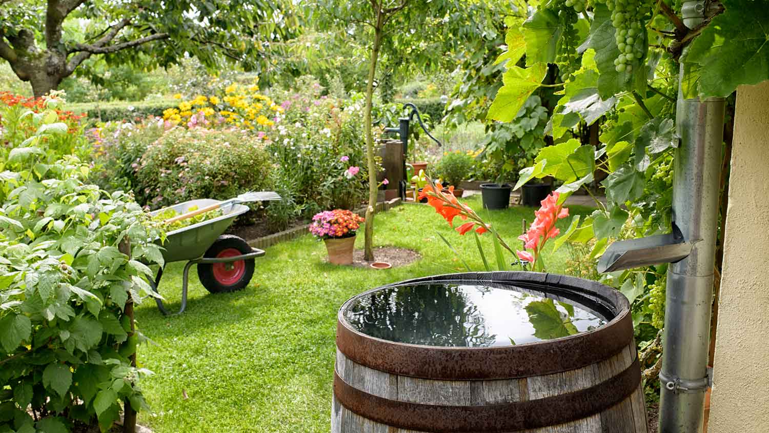 House back yard with a wooden rain barrel