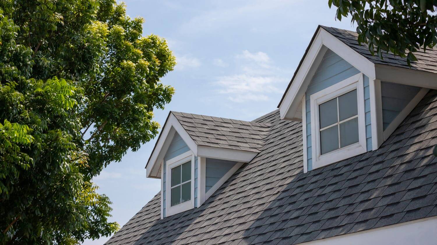 Dark asphalt tiles on a roof next to trees