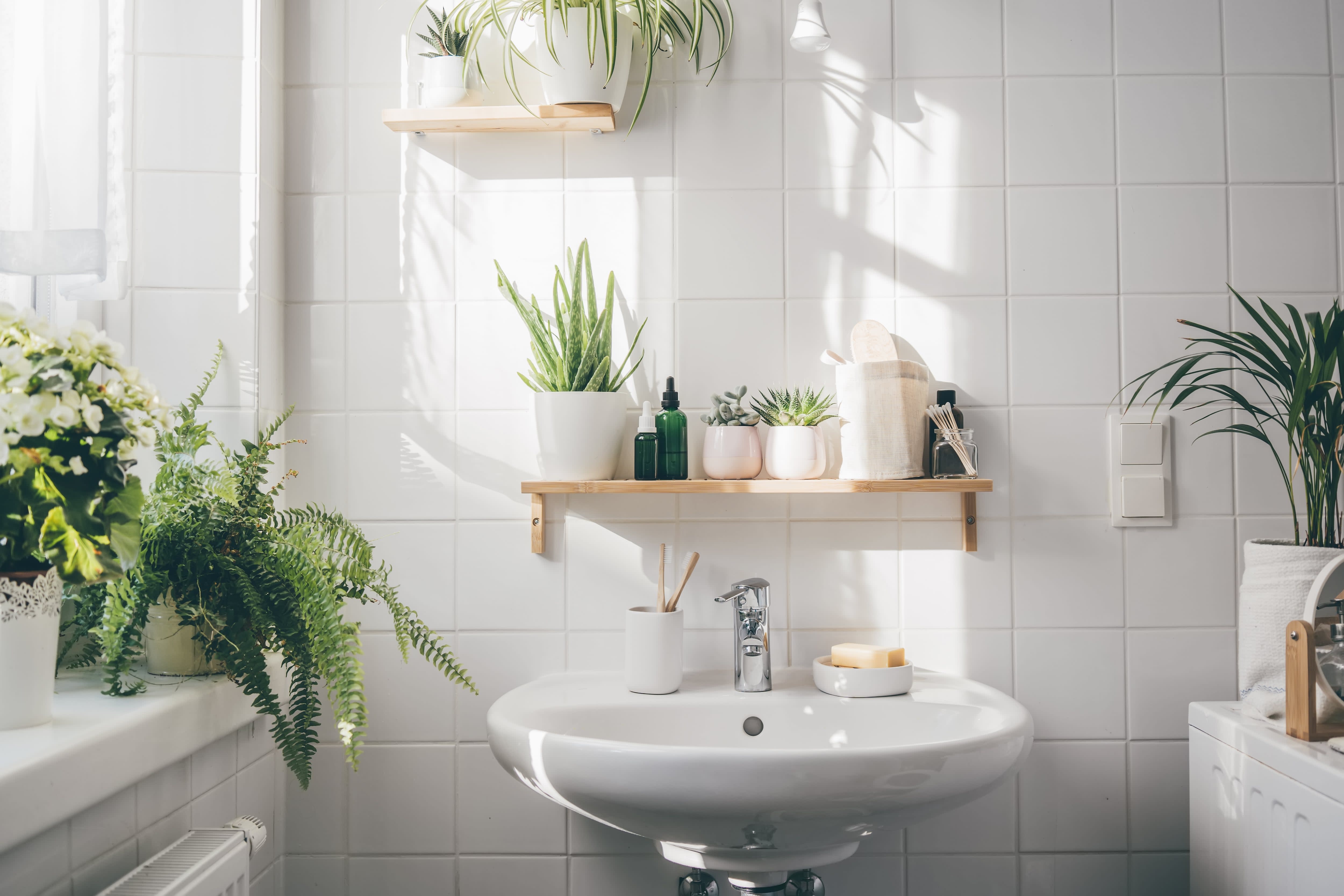 Bright white bathroom with a sink, large window, and lots of plants