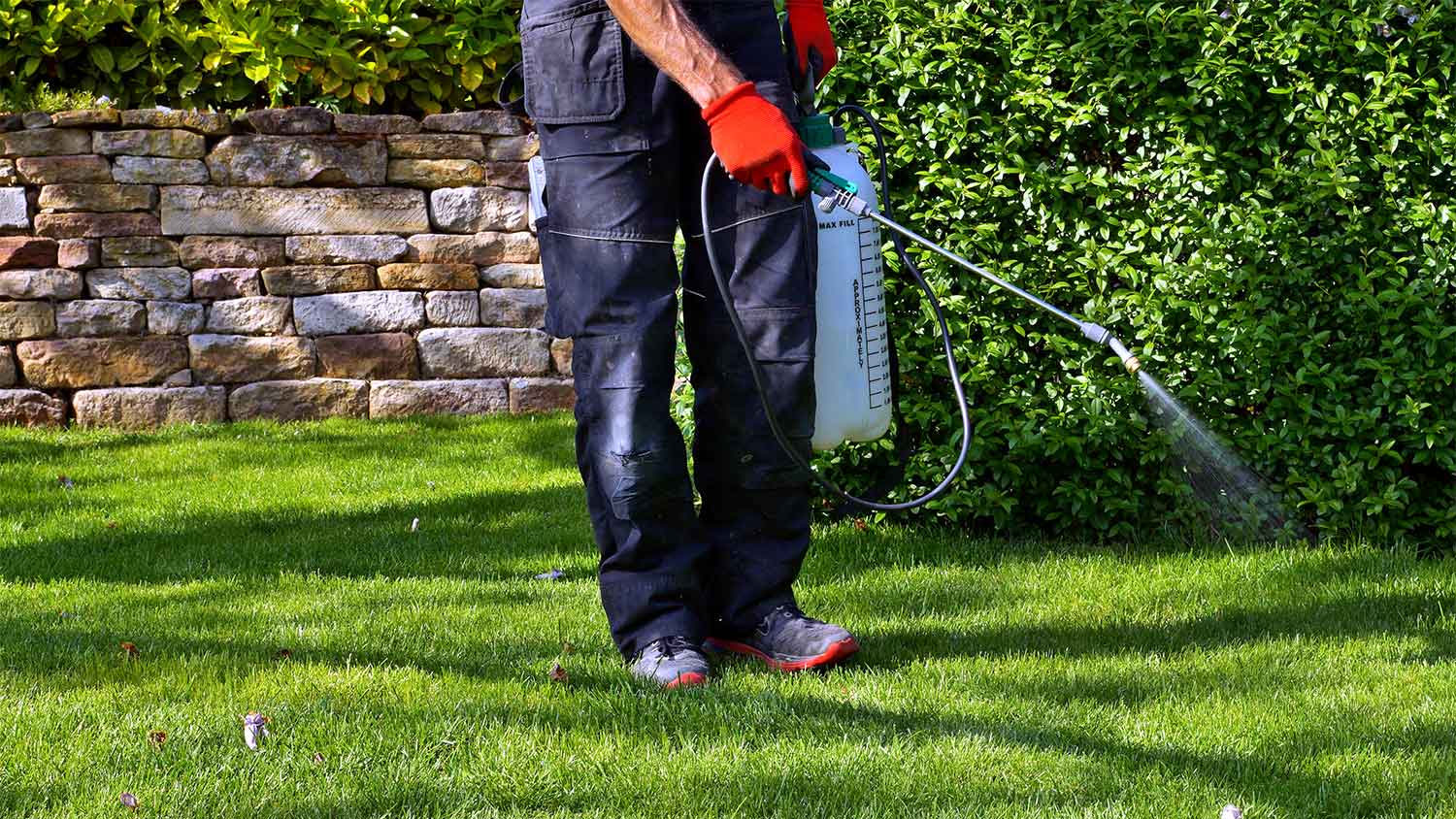 An exterminator sprays a yard