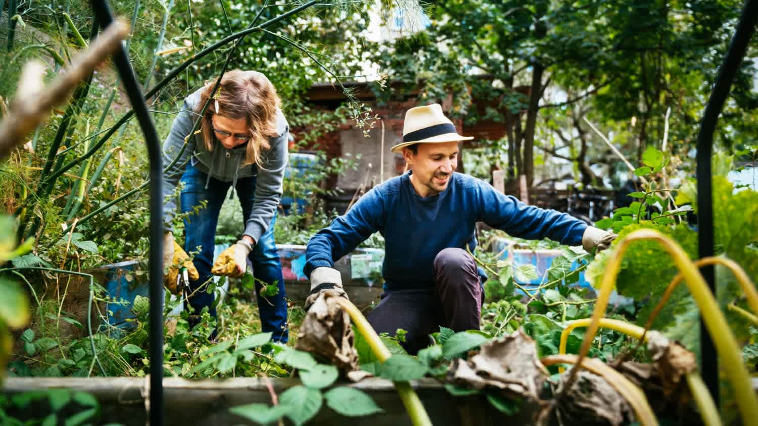 Couple working in an urban garden