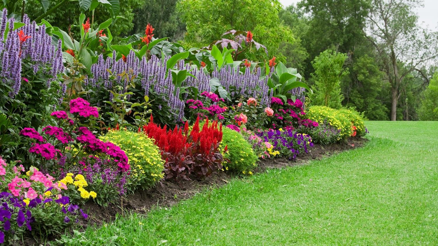 A beautiful flower bed in a garden