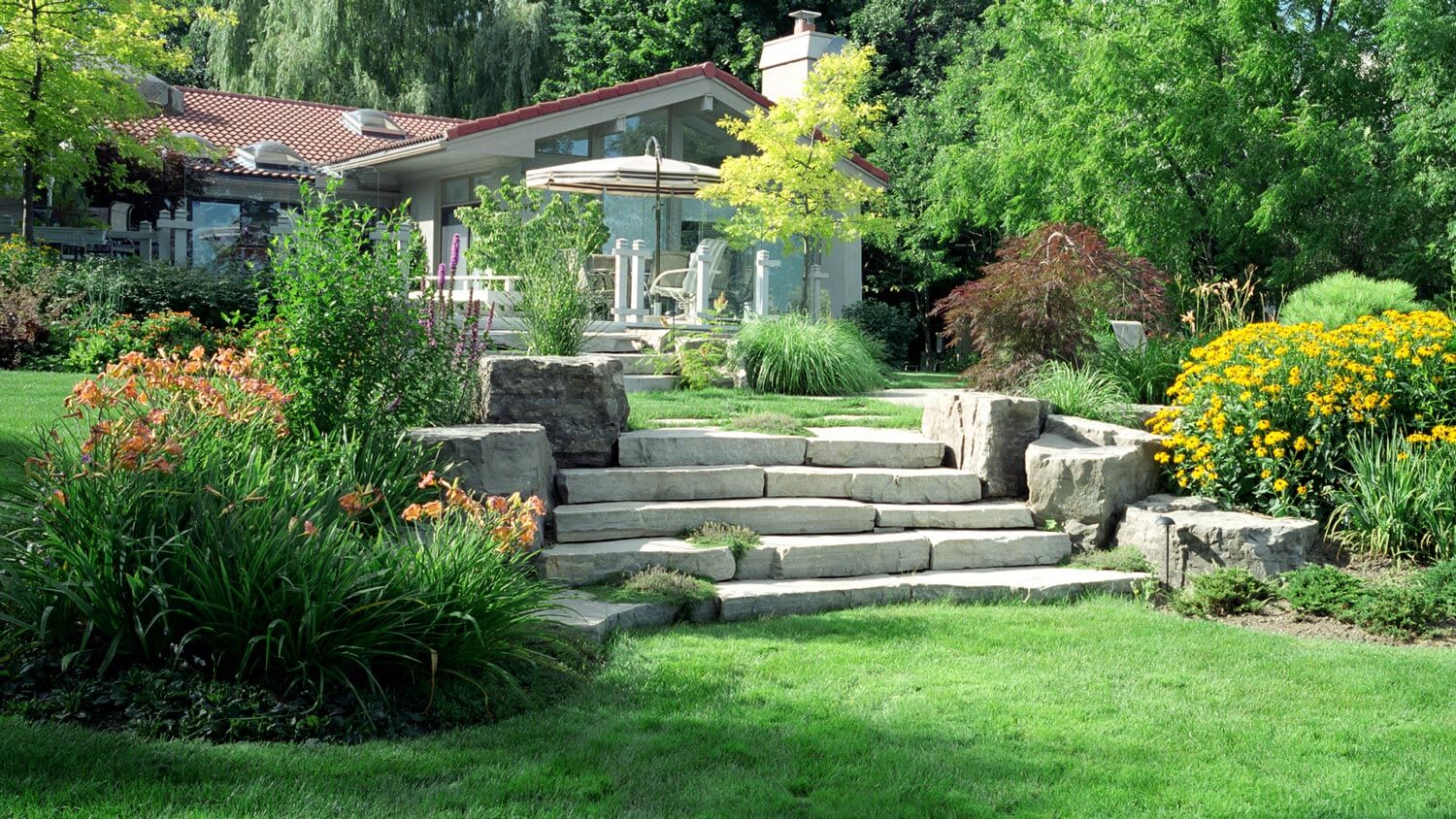 Garden with stone steps and a big variety of plants
