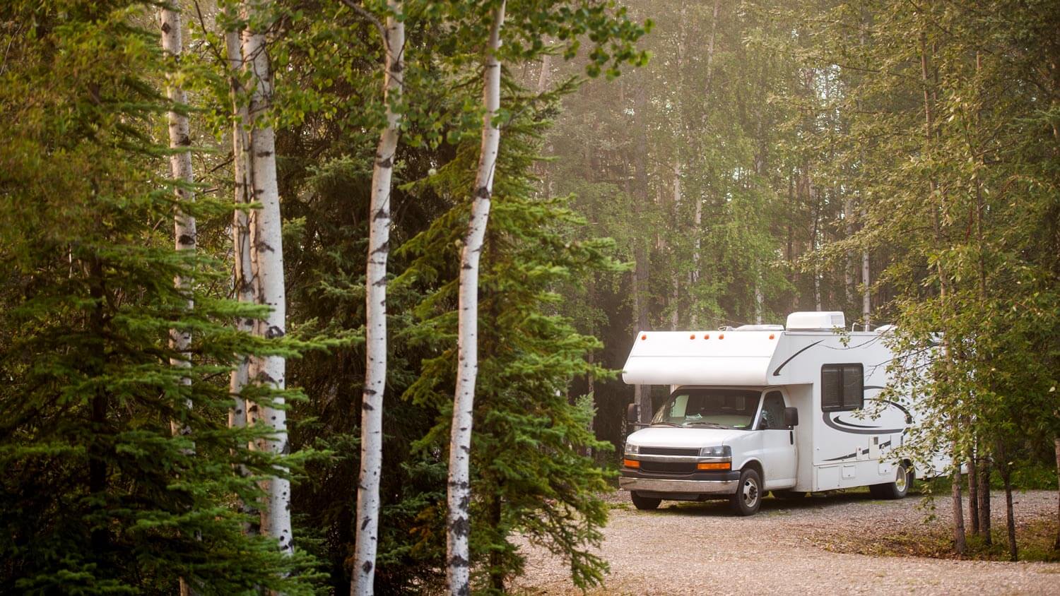 An RV parked in the woods