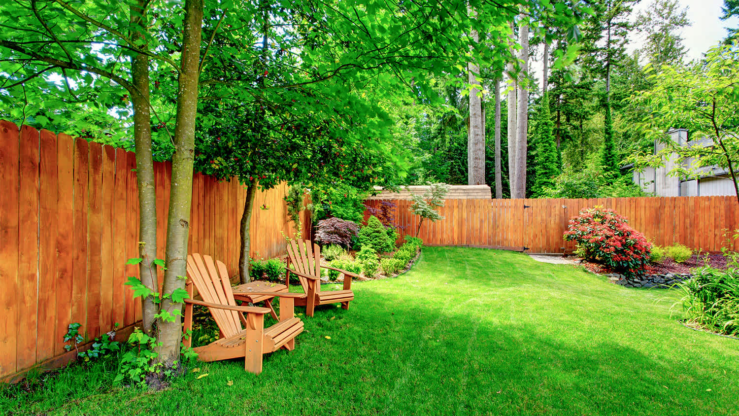 fenced backyard with green grass