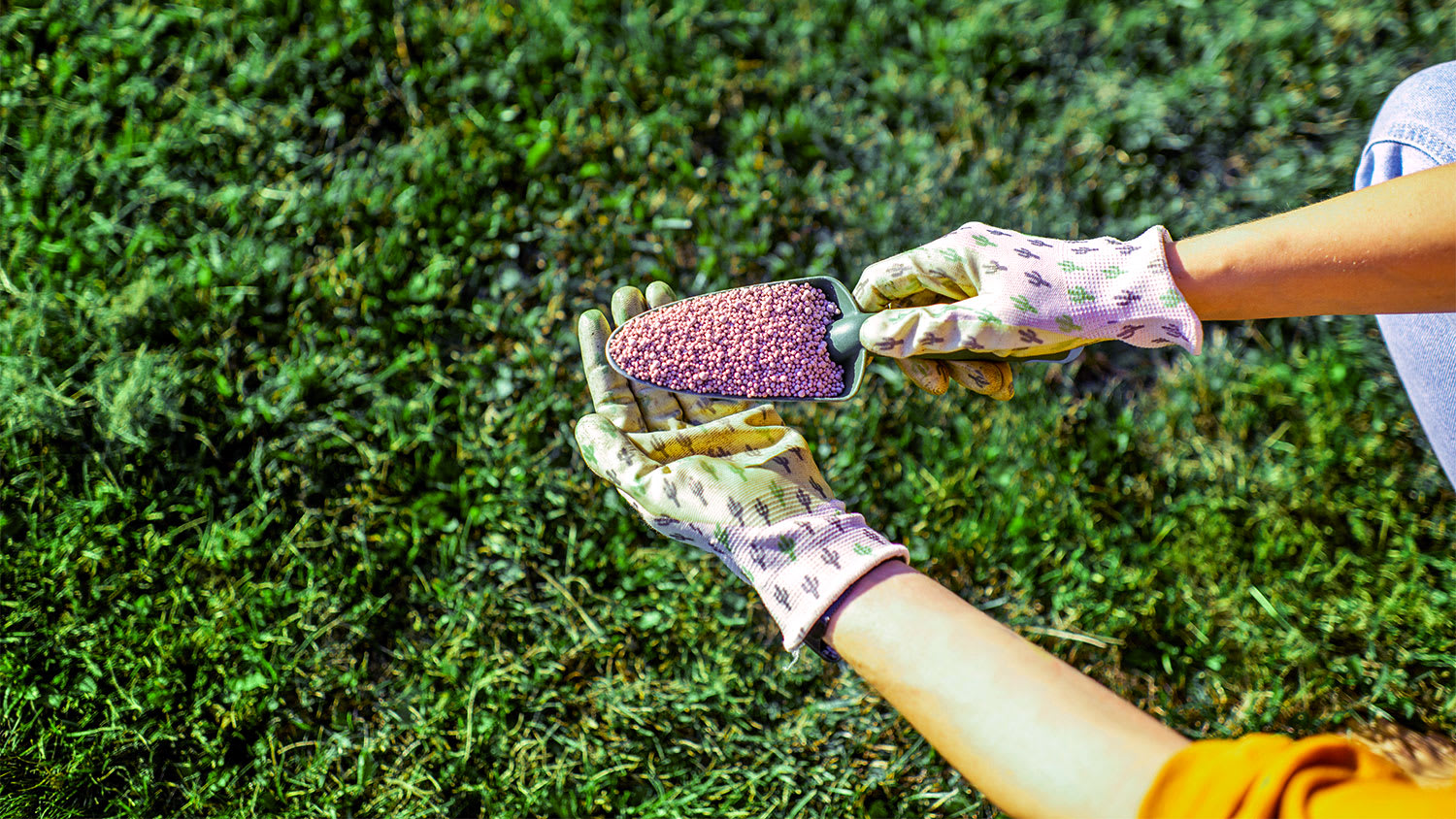 woman holding fertilizer for grass growth