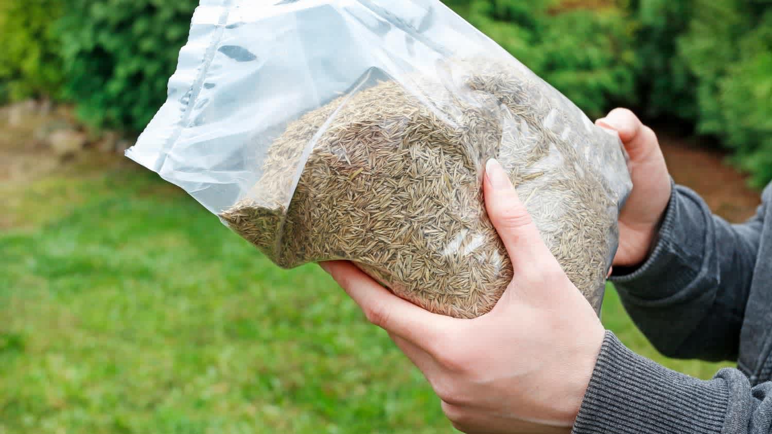 Woman holding a bag of grass seeds