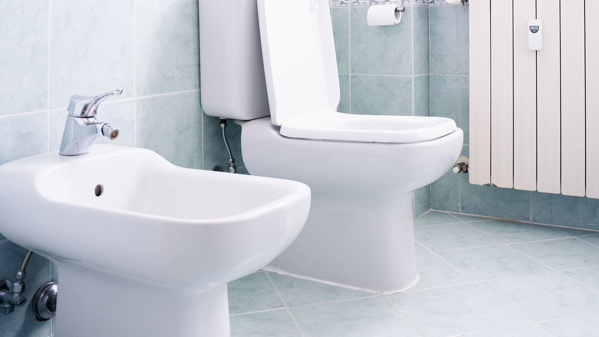 bidet next to a toilet