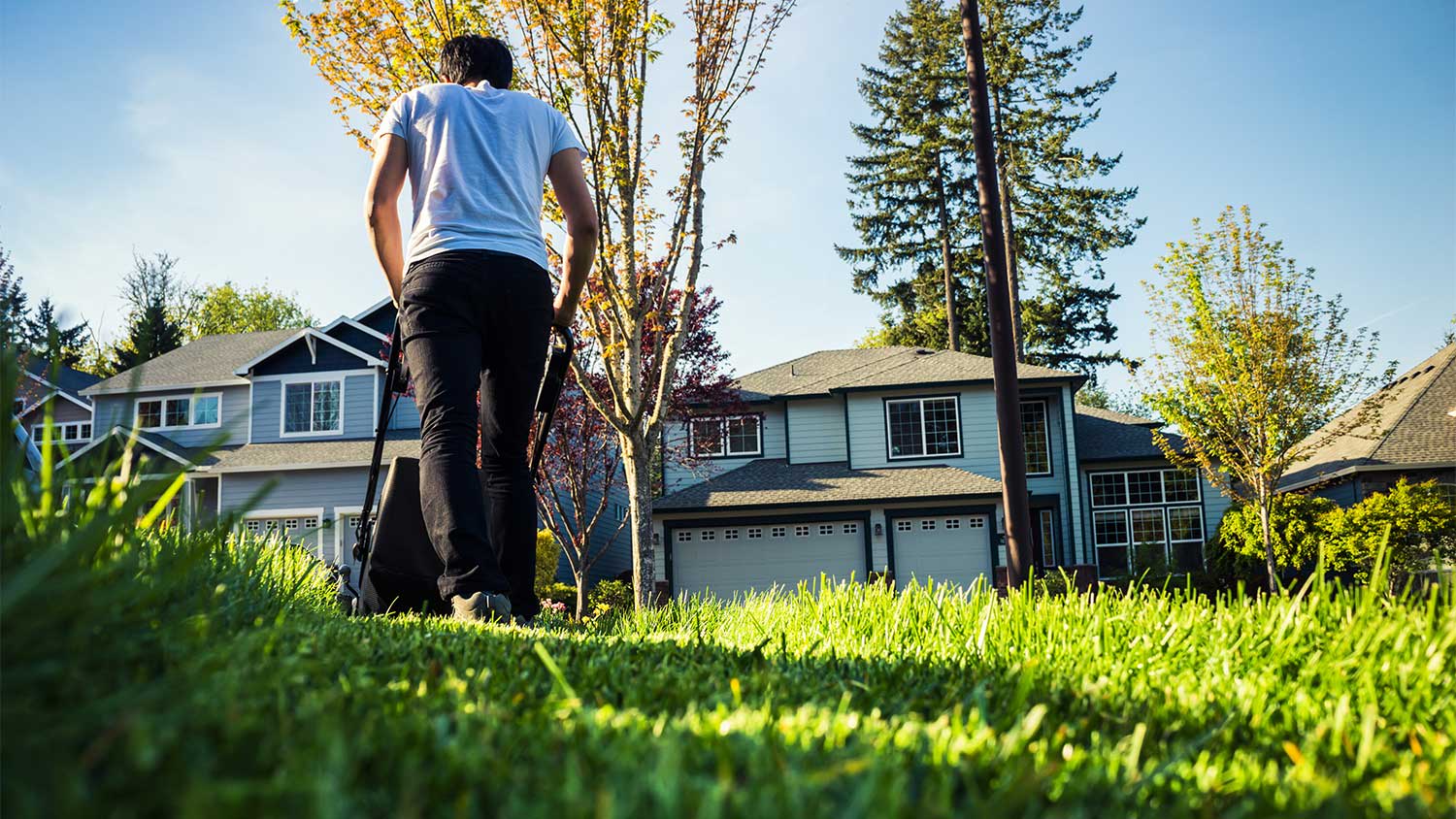 Person mowing lawn from behind