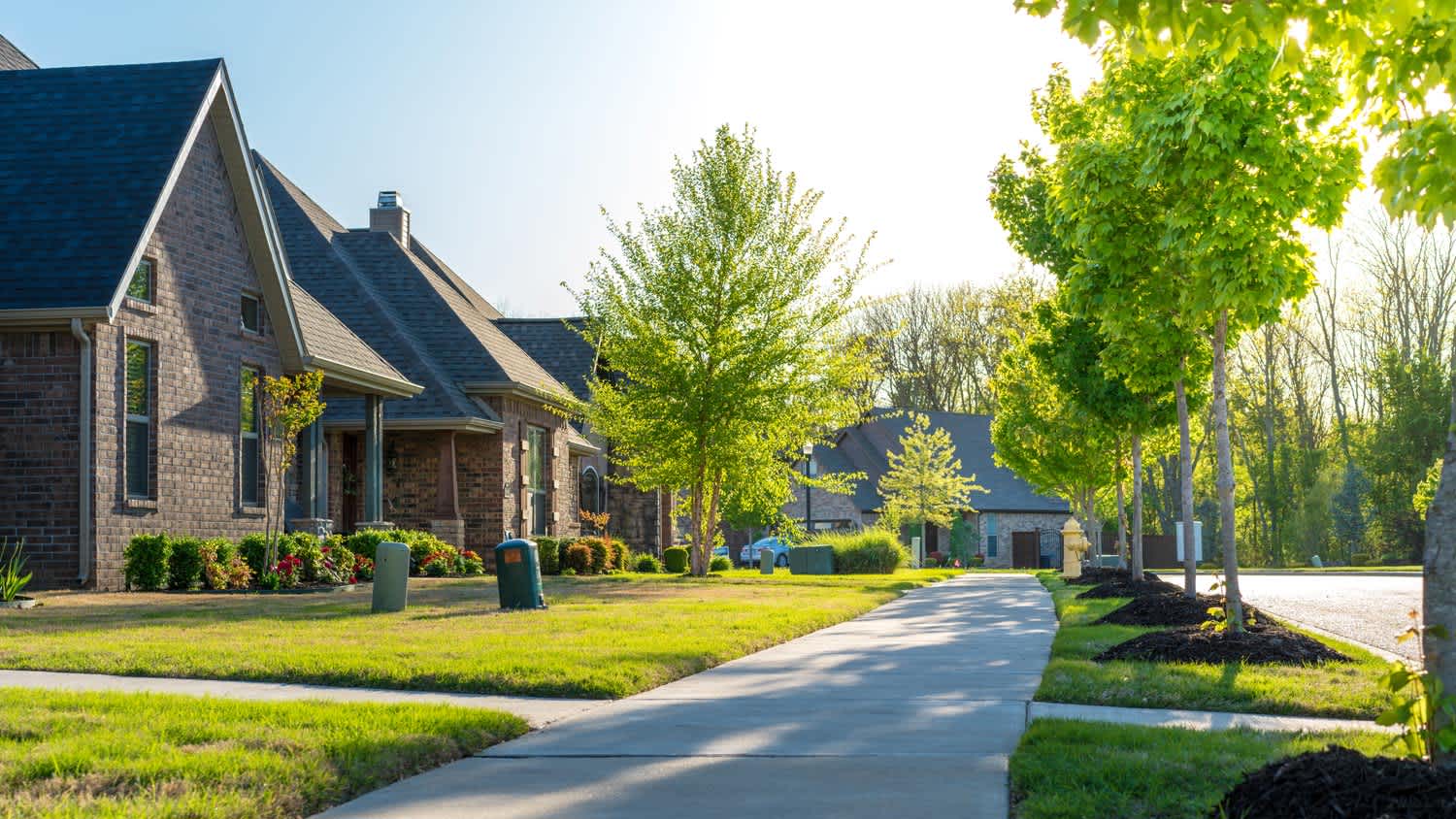 St. Augustine grass in the front yards of residential houses
