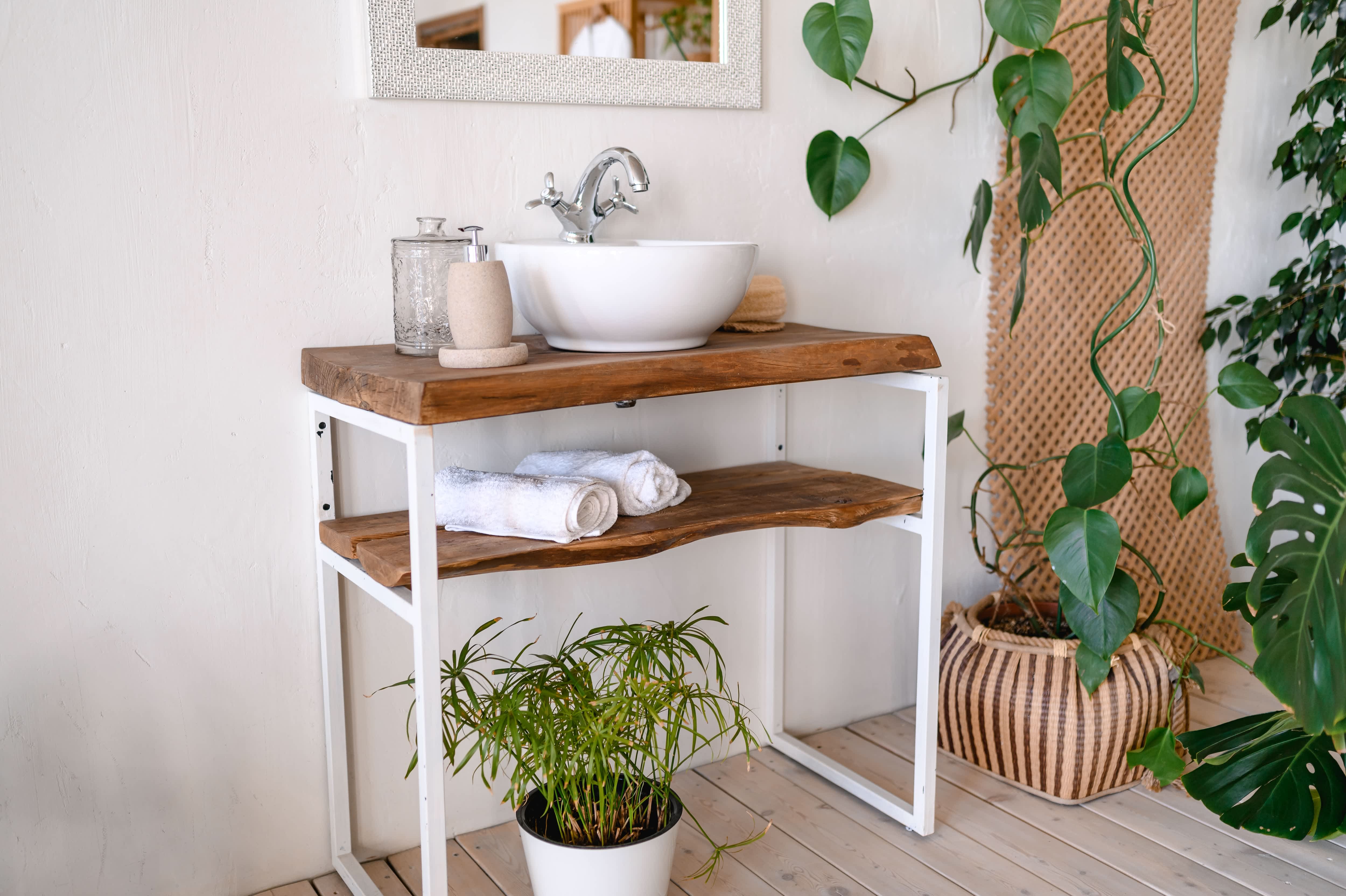 A bright white bathroom with an assortment of plants