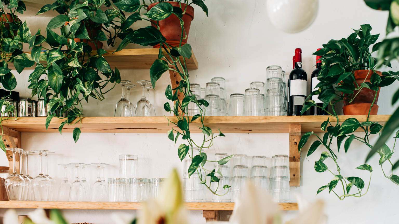 shelf with bar glassware and bottles
