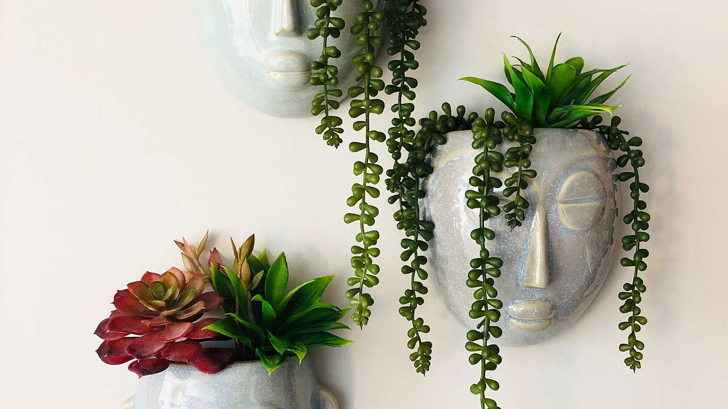 Wall pots hang on the wall with succulents inside