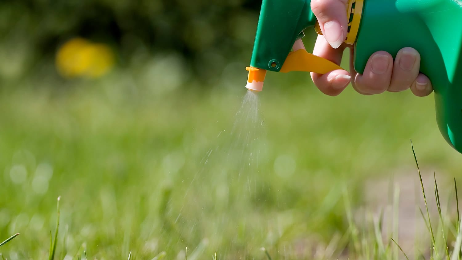 Close-up of a woman spraying weed killer on the grass