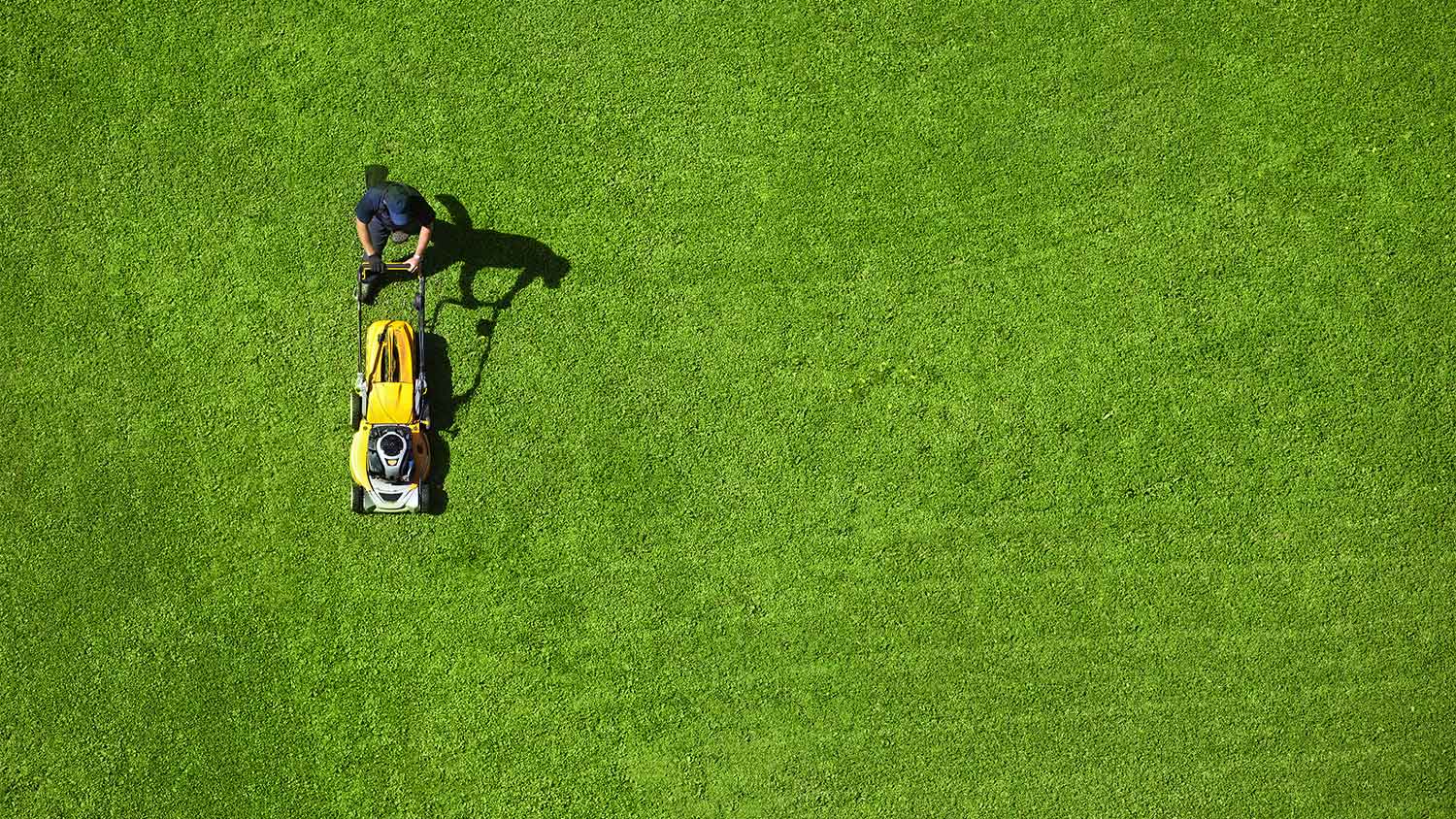 Aerial view of lawn mowing pattern