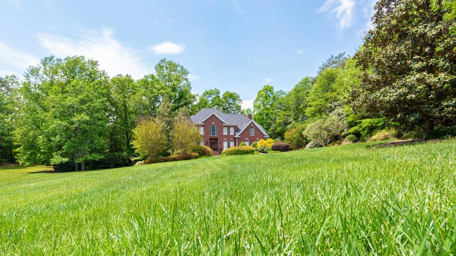 Low angle view of fescue grass with a house in the background