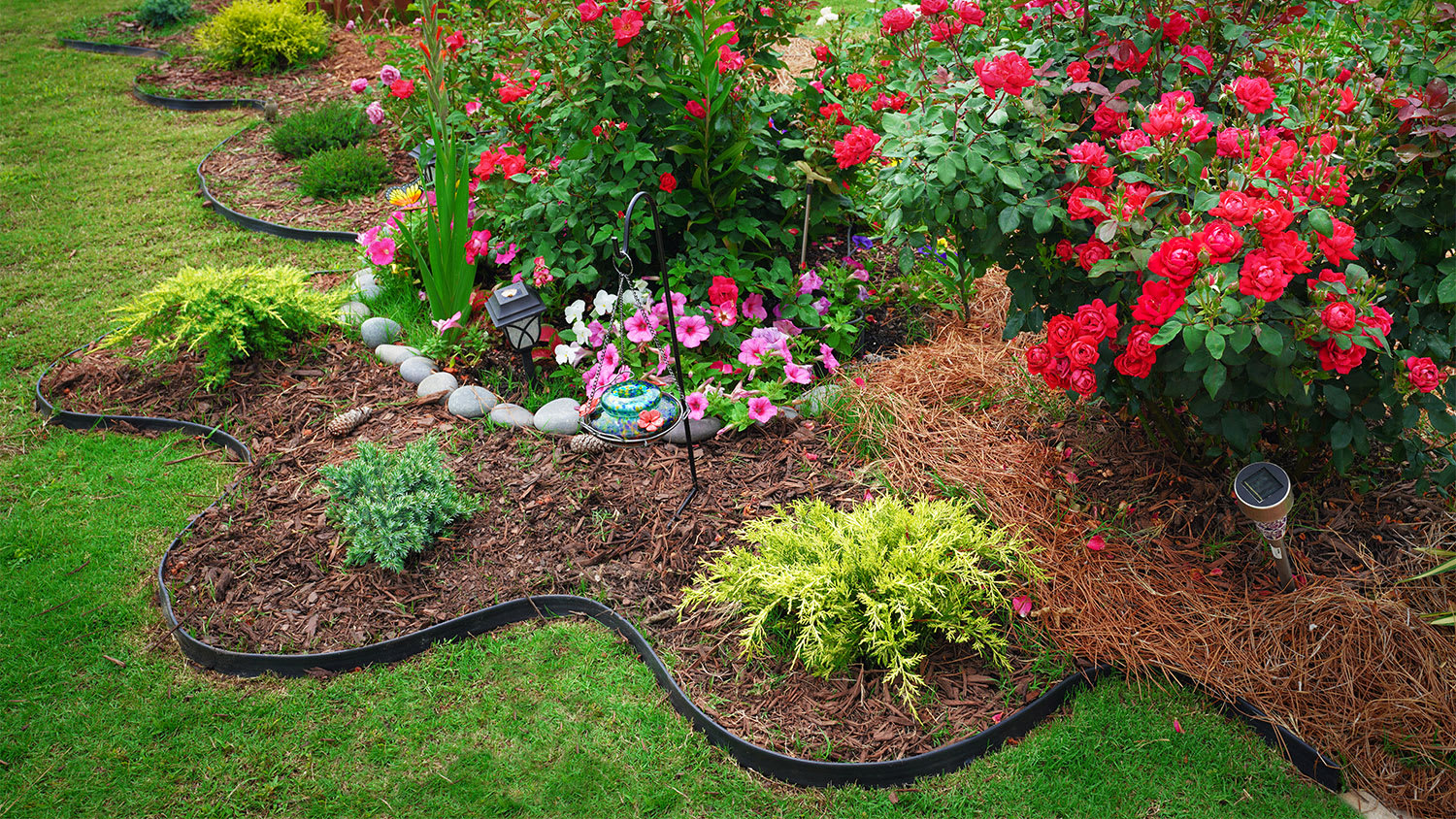 front yard flower garden with plastic edging