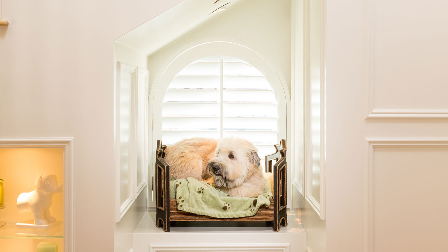 Dog nook under stairs