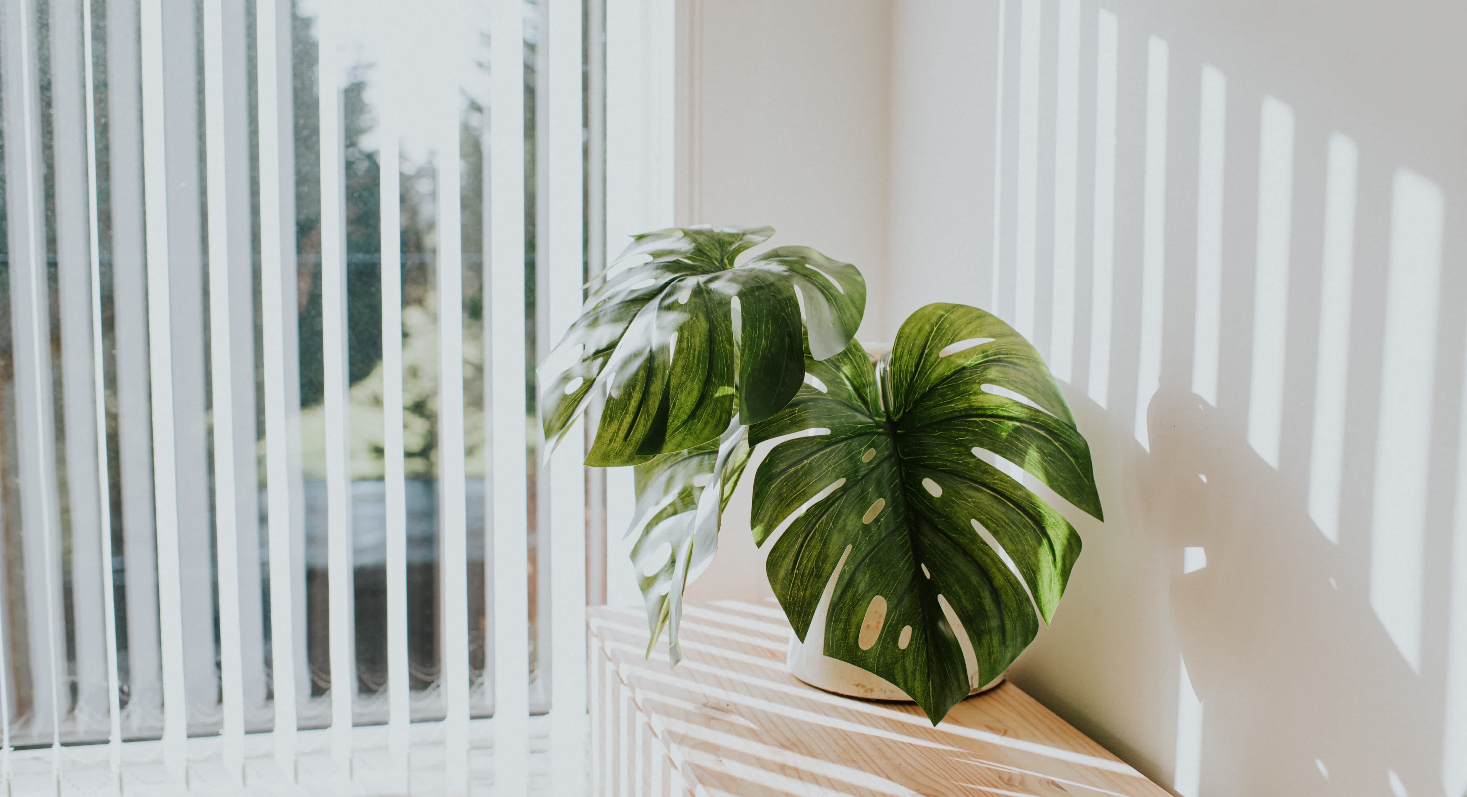 Vertical blinds over sliding glass door